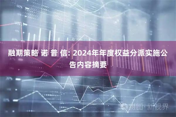 融期策略 诺 普 信: 2024年年度权益分派实施公告内容摘要