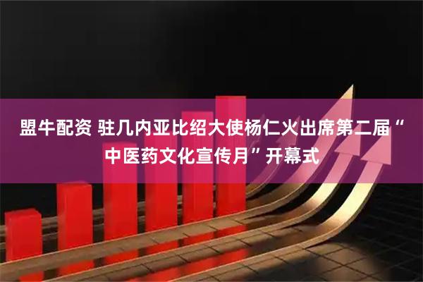 盟牛配资 驻几内亚比绍大使杨仁火出席第二届“中医药文化宣传月”开幕式