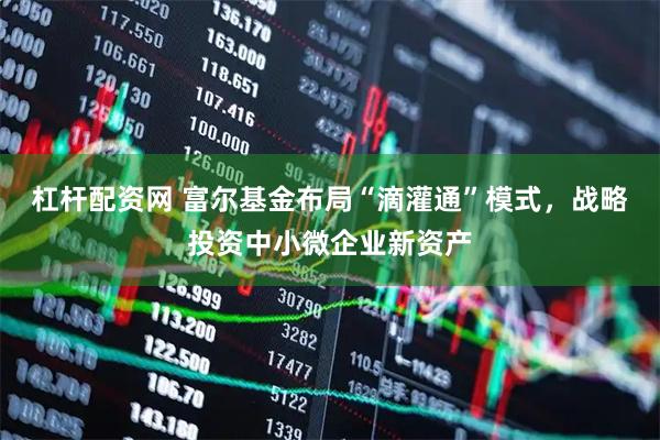 杠杆配资网 富尔基金布局“滴灌通”模式，战略投资中小微企业新资产