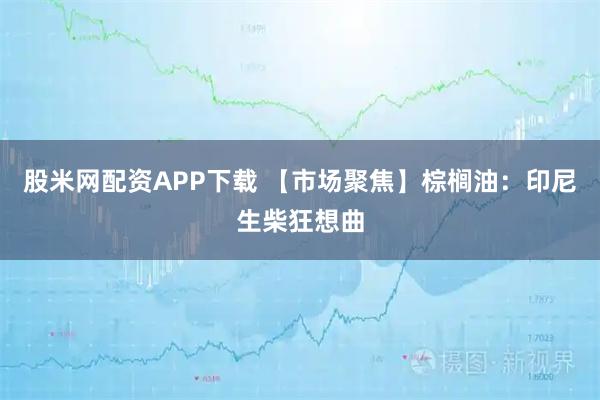 股米网配资APP下载 【市场聚焦】棕榈油：印尼生柴狂想曲